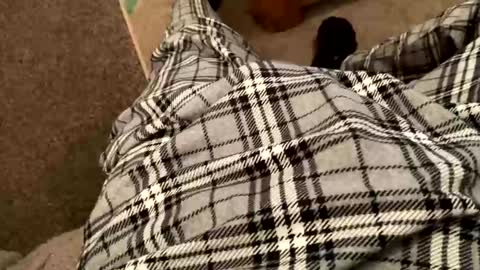 Snapshot of therealpietro77 chatting on February 5, 8:57 pm therealpietro77 online show from February 5, 8:57 pm