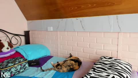 Nicole online show from March 25, 2:45 pm