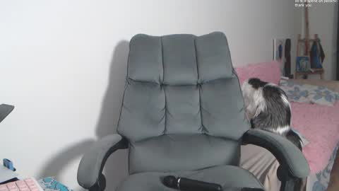 theysaidimcute online show from February 19, 9:11 pm