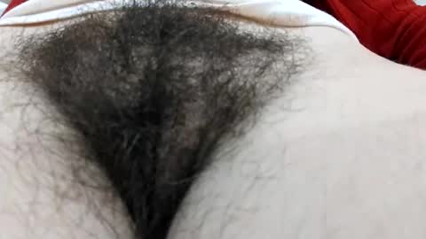 Snapshot of thickforest chatting on December 17, 5:26 pm MilkyChoco online show from December 17, 5:26 pm