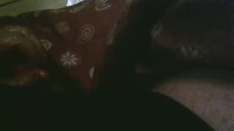 thisbloke96 online show from December 17, 10:27 pm