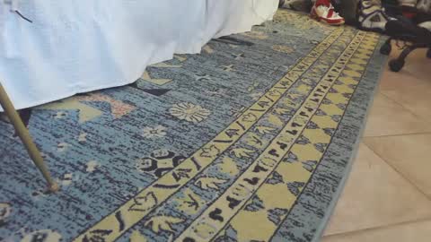 ThongMuscle online show from February 27, 1:49 pm