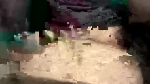 thunderbird2696 online show from April 12, 4:23 pm