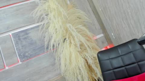 Snapshot of tiff_valentine chatting on February 5, 7:50 am Tiffany online show from February 5, 7:50 am