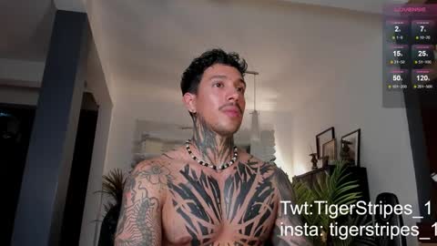 Snapshot of tigerstripes_ chatting on February 28, 12:43 am Chris online show from February 28, 12:43 am