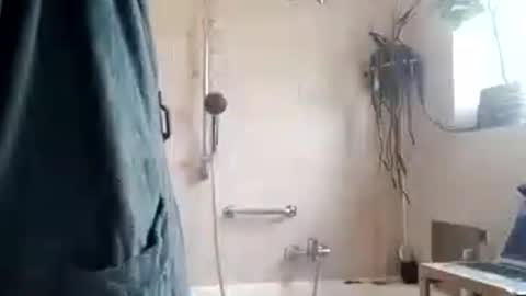 Snapshot of tigertrance chatting on November 11, 10:26 am tigertrance online show from November 11, 10:26 am