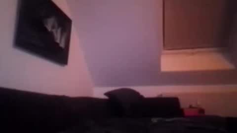 Snapshot of tigertrance chatting on November 17, 1:55 am tigertrance online show from November 17, 1:55 am