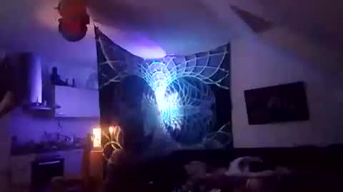 Snapshot of tigertrance chatting on December 2, 12:49 am tigertrance online show from December 2, 12:49 am