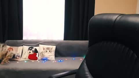 Luisa online show from November 14, 8:46 am