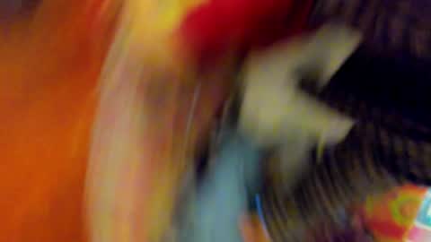 Snapshot of timewith_sebas chatting on May 15, 1:23 am salem online show from May 15, 1:23 am