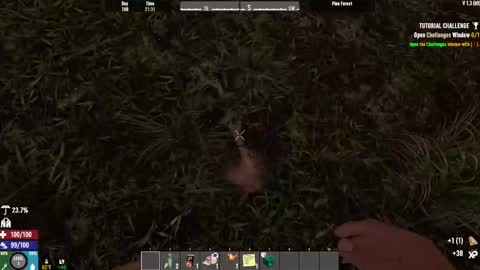 TimLooking online show from February 15, 8:22 am