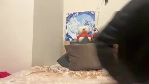 Snapshot of timveret chatting on December 8, 7:00 pm Wizard online show from December 8, 7:00 pm