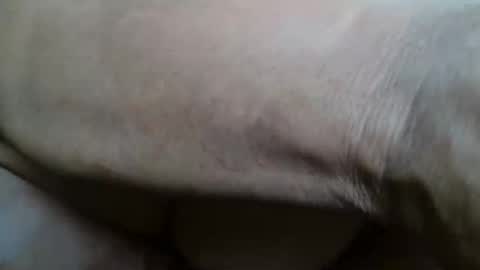 tinagiant online show from November 20, 1:00 pm