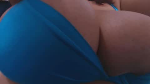 tinkerbell online show from November 4, 7:24 pm