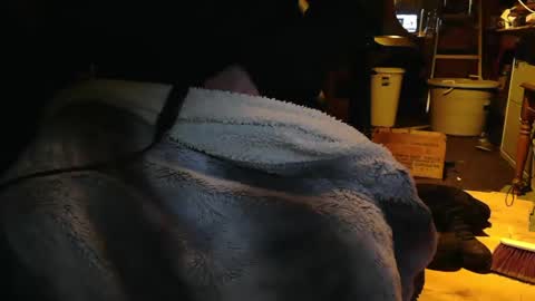 tinkertrain420 online show from December 2, 9:56 am