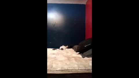 tinycock74478 online show from March 19, 10:03 pm