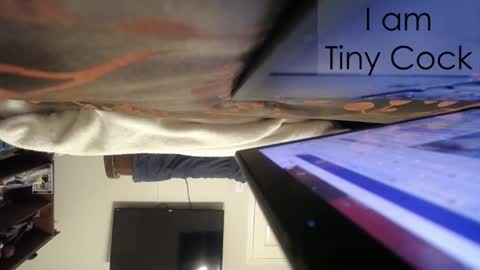 tinycock_1979 online show from February 21, 2:28 am