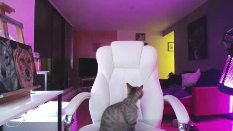 stage Kylie Sinner  brand CLITBAIT online show from October 14, 1:06 am