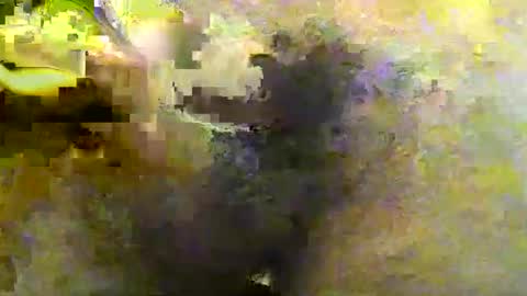 Tirius Barkhan online show from November 30, 6:45 pm