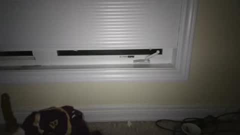 Snapshot of tj526316275 chatting on April 23, 6:47 am tj526316275 online show from April 23, 6:47 am
