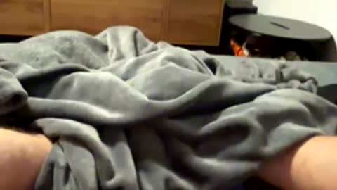 Snapshot of tmue chatting on February 20, 2:17 pm tmue online show from February 20, 2:17 pm