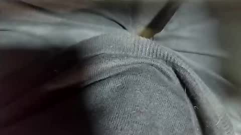 Snapshot of tomas_cum69 chatting on February 12, 10:37 pm Tomas online show from February 12, 10:37 pm