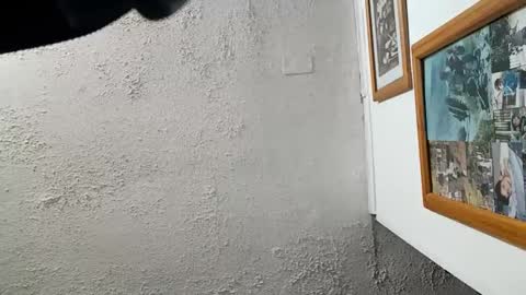 Tommy online show from November 23, 8:14 am