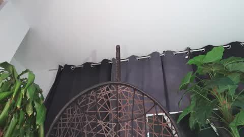 Snapshot of tony_newmen chatting on February 12, 12:16 am tony online show from February 12, 12:16 am