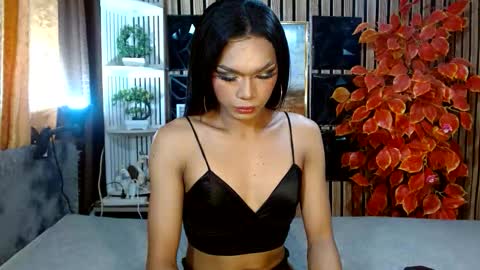 toptrans venice online show from February 20, 6:26 am