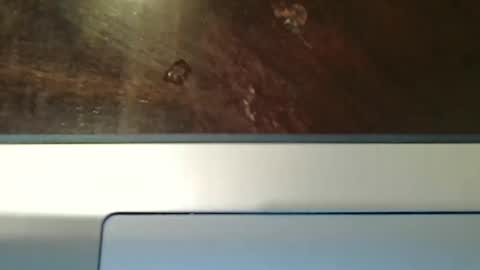 Snapshot of totxxx335 chatting on December 15, 8:57 pm totxxx335 online show from December 15, 8:57 pm