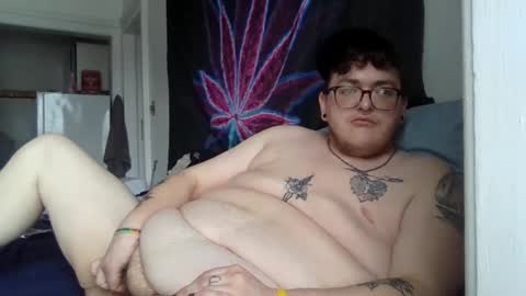 Snapshot of transmalebear chatting on February 11, 6:33 pm transmalebear online show from February 11, 6:33 pm