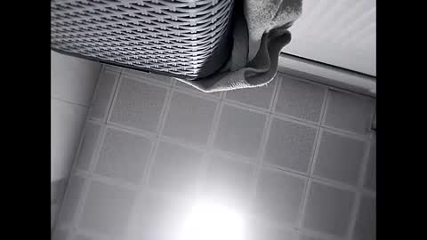 Snapshot of trapper727272 chatting on February 24, 5:43 am Big Head Cock online show from February 24, 5:43 am