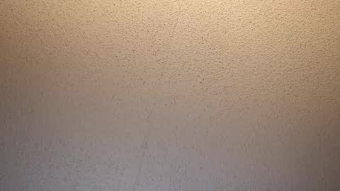 treedude303720 online show from October 16, 9:43 am
