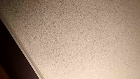 treedude303720 online show from October 20, 10:54 pm