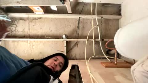 trees559 online show from March 2, 4:47 pm