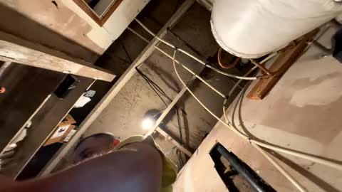 trees559 online show from March 19, 5:55 am