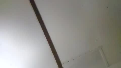 trex23rd online show from February 7, 9:35 am