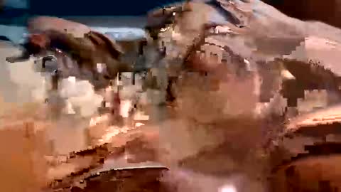 Snapshot of trigood chatting on February 13, 2:01 am trigood online show from February 13, 2:01 am