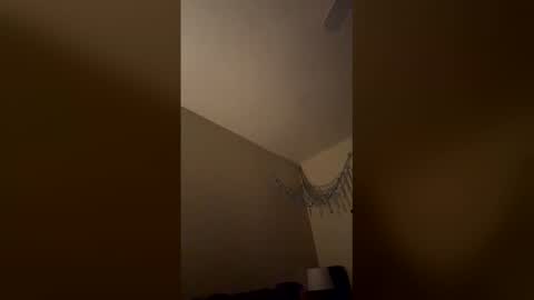 Snapshot of triplevizion chatting on February 2, 7:40 am triplevizion online show from February 2, 7:40 am