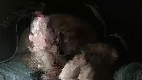 Snapshot of triponsex chatting on March 24, 9:42 pm triponsex online show from March 24, 9:42 pm