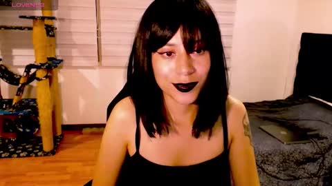 Cait online show from November 29, 7:22 am