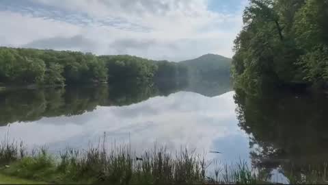 Treistoph online show from February 21, 1:56 pm