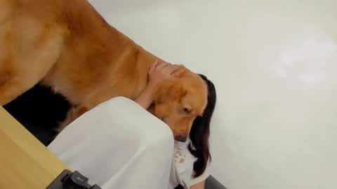 Snapshot of ts_danielahugecock_xxx chatting on December 31, 12:43 am ts_danielahugecock_xxx online show from December 31, 12:43 am