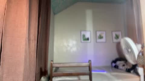 kendall online show from January 16, 2:21 pm