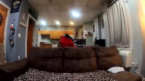 twicethetease2 online show from February 8, 7:34 am