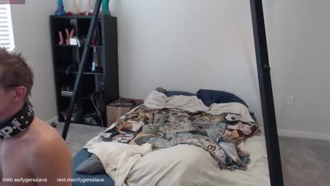 Tygers slave online show from October 13, 8:42 pm