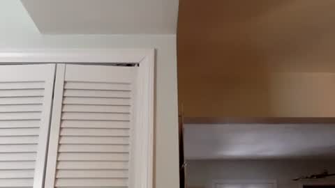 Tyler Durden online show from February 13, 5:54 pm