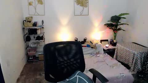 Bib online show from November 1, 5:20 am