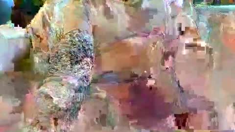 urukai79 online show from February 17, 12:45 pm