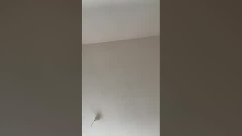 valerianleclercq2025 online show from February 27, 4:07 pm